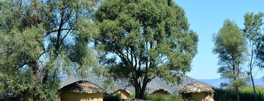 ΝΕΟΛΙΘΙΚΟΣ ΟΙΚΙΣΜΟΣ