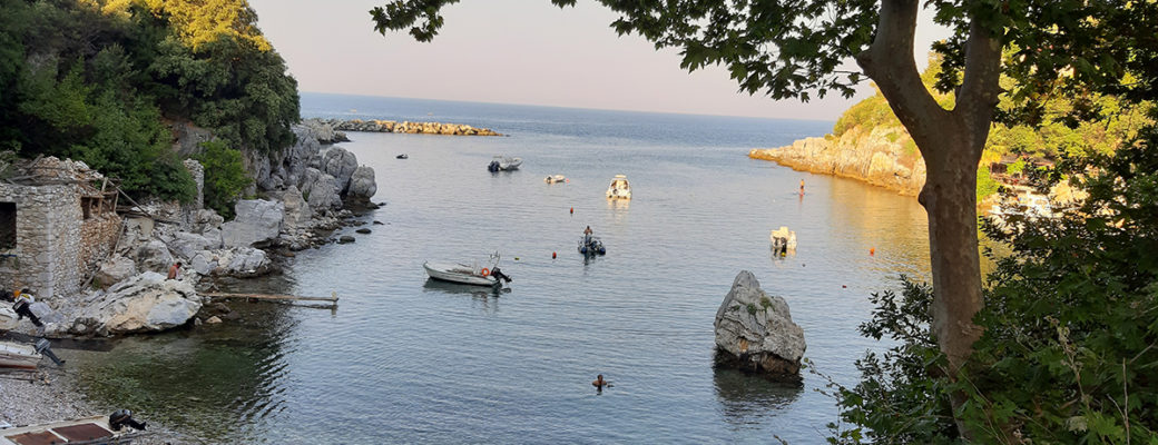 ΝΤΑΜΟΥΧΑΡΗ