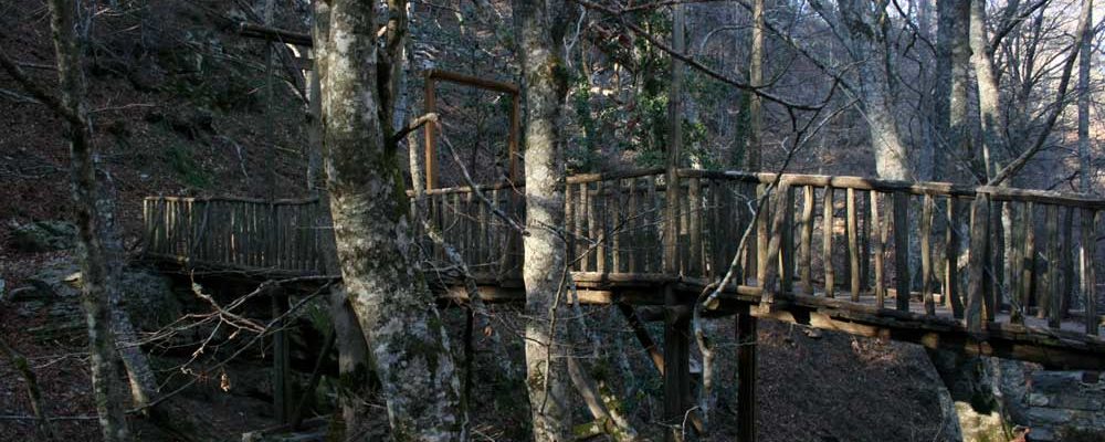 ΤΟ ΜΟΝΟΠΑΤΙ ΤΗΣ ΑΓΑΠΗΣ