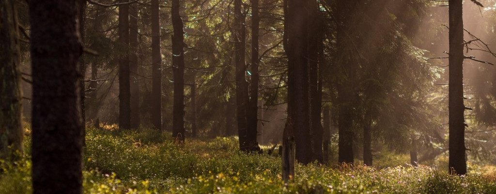 ΛΙΤΟΧΩΡΟ ΠΙΕΡΙΑΣ